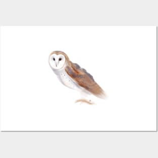 Barn Owl Watercolor Posters and Art